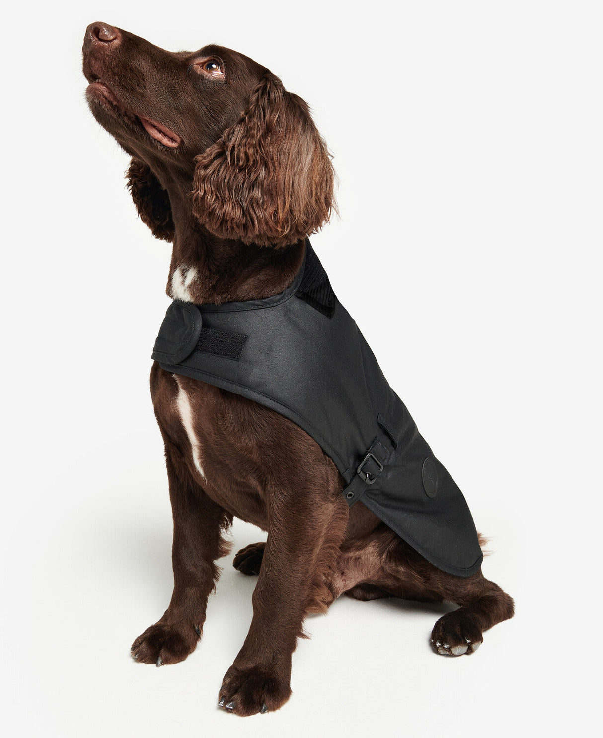 Barbour Wax Dog Coat - Black