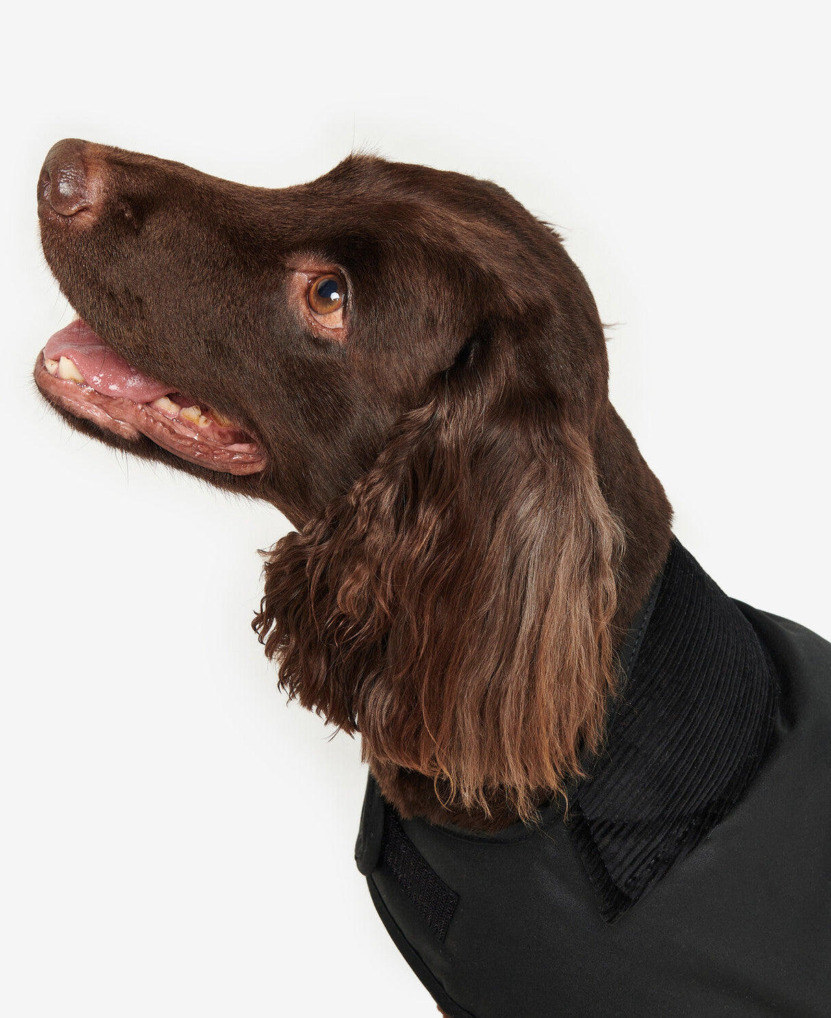 Barbour Wax Dog Coat - Black