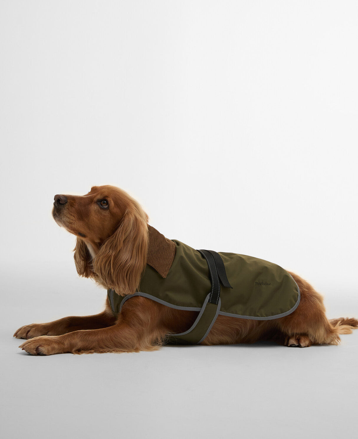 Barbour Monmouth Waterproof Dog Coat - Olive