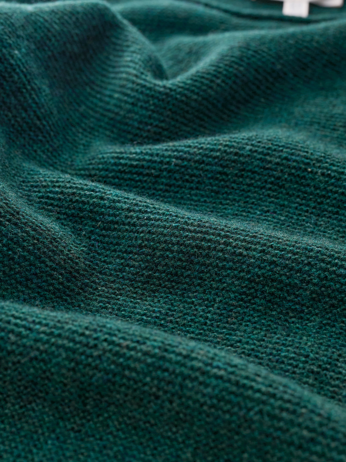 Seasalt Fruity Jumper - Loch