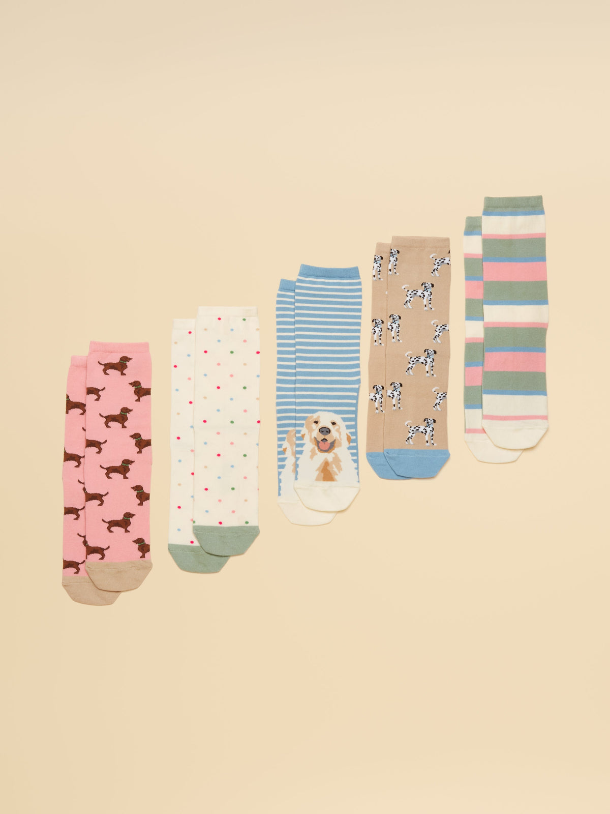Joules Everyday 5PK - Dog