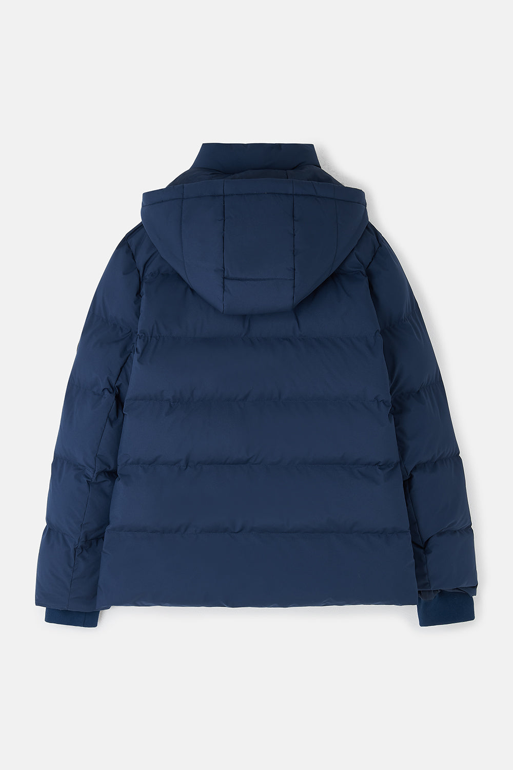 Lighthouse Margot Ladies Coat - Navy