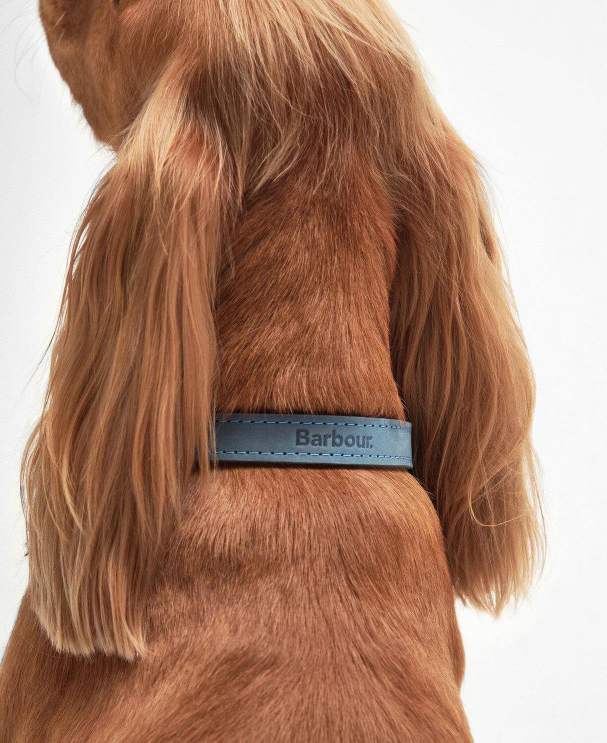 Barbour Leather Dog Collar - Blue