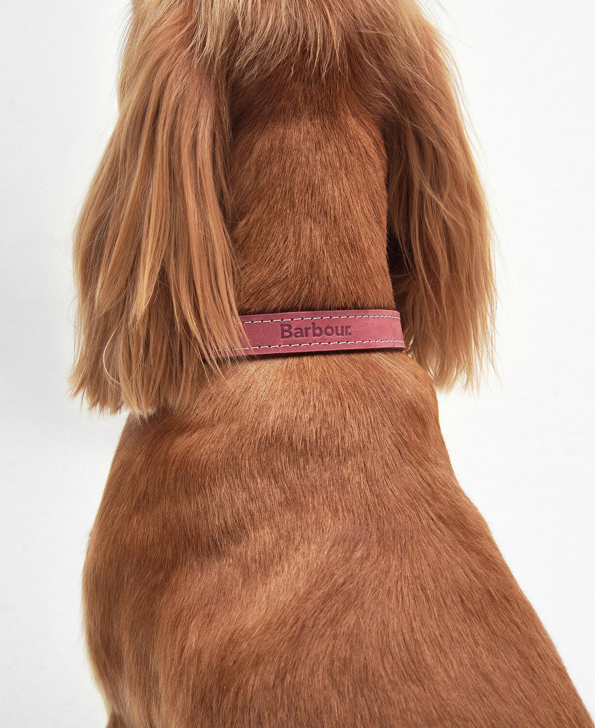 Barbour Leather Dog Collar - Pink