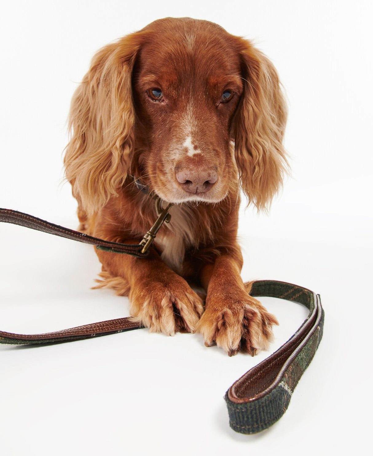 Barbour Tartan Dog Lead - Classic Tartan