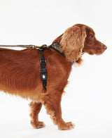 Barbour Tartan Dog Harness - Classic Tartan