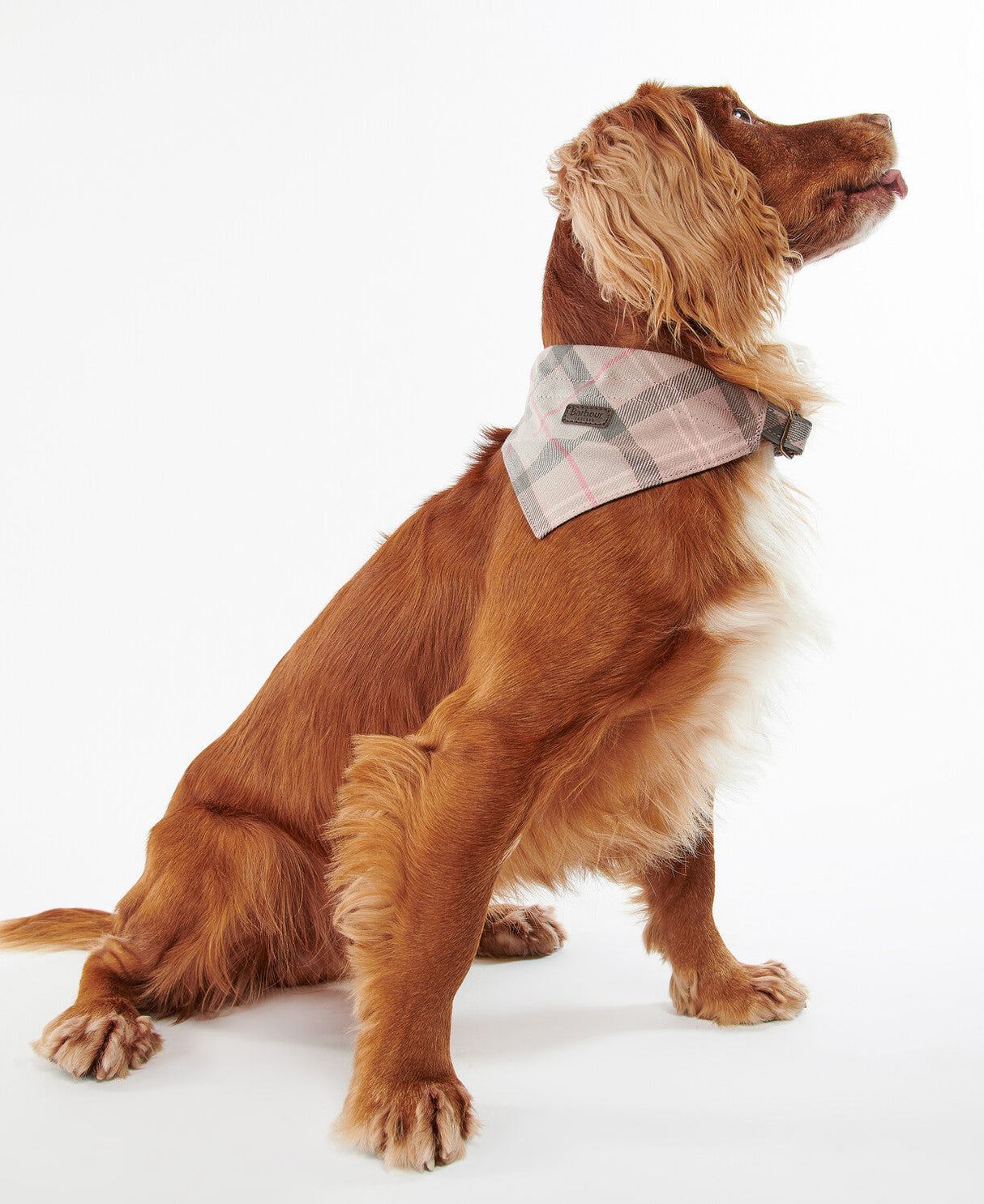 Barbour Tartan Dog Bandana - Taupe/Pink Tartan