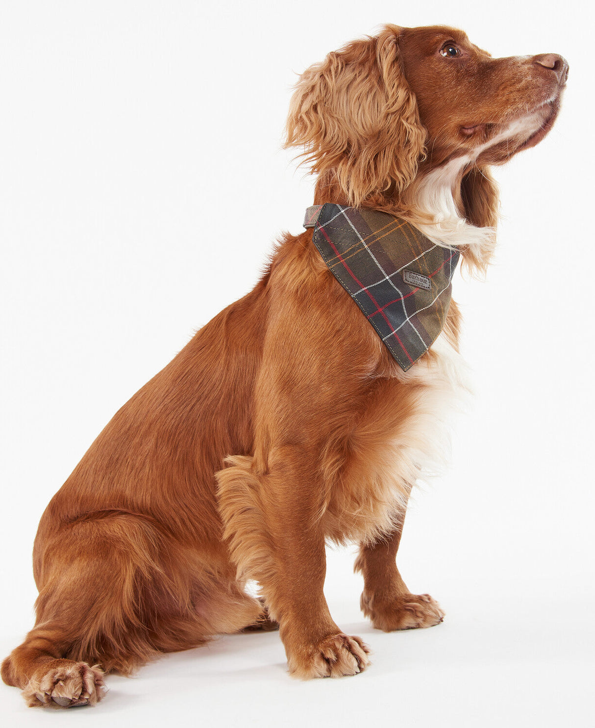 Barbour Tartan Dog Bandana - Classic Tartan