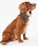 Barbour Tartan Dog Bandana - Classic Tartan