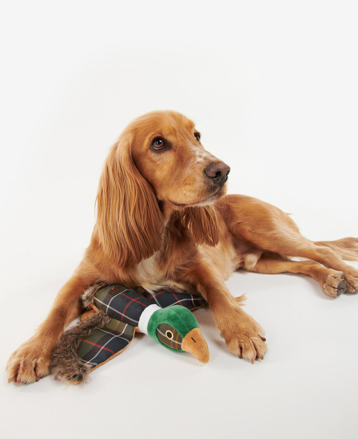 Barbour Dog Pheasant Toy - Classic Tartan