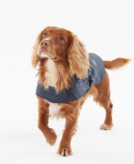 Barbour Quilted Dog Coat - Navy August