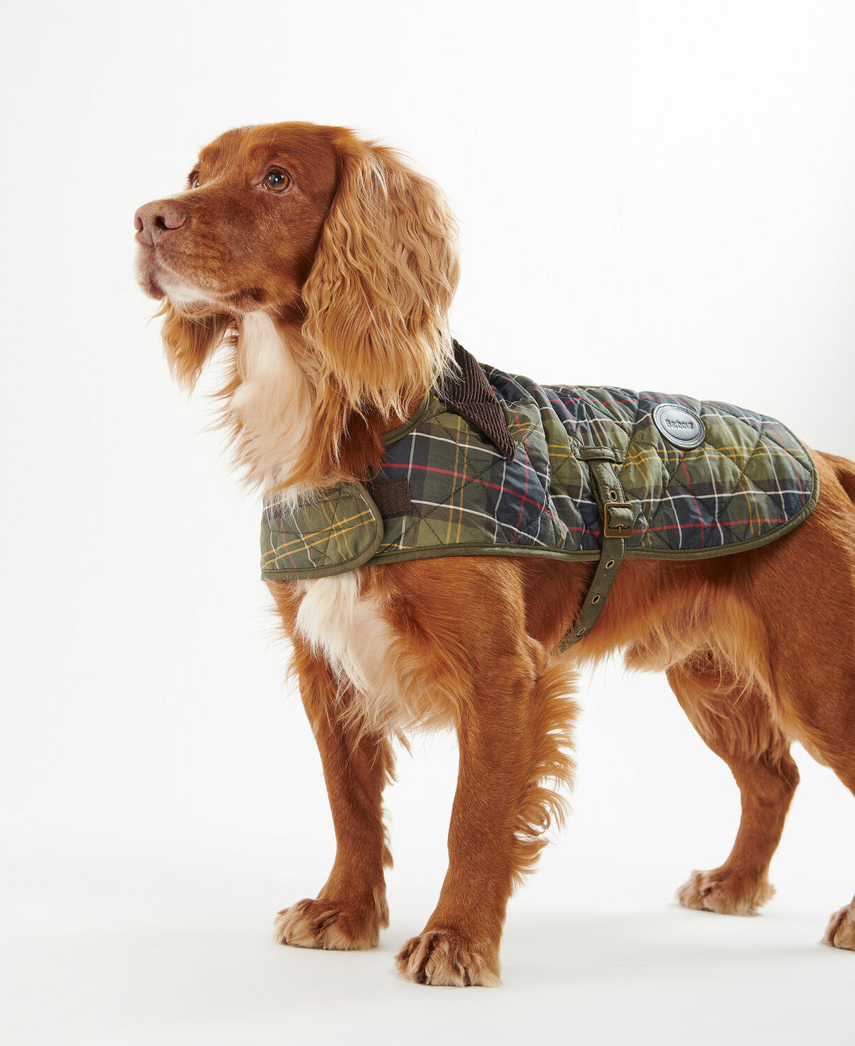 Barbour Tartan Dog Coat - Classic