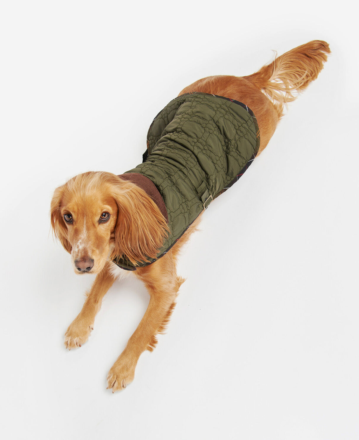 Barbour Dog Bone Quilted Dog Coat - Dark Olive