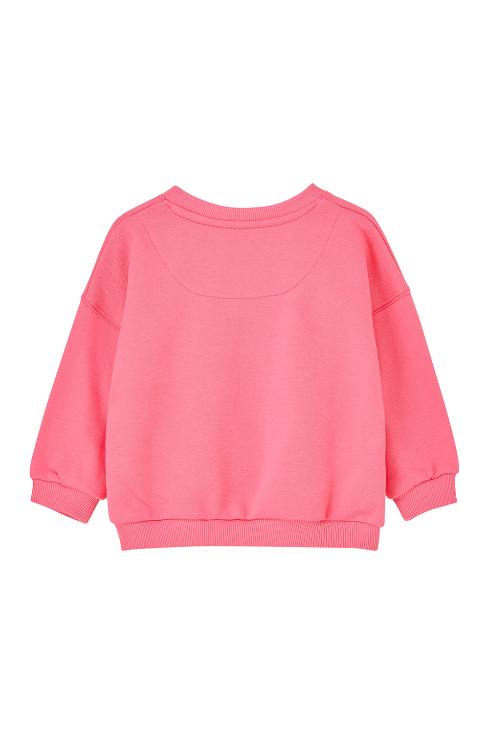 Lighthouse Flora Sweatshirt - Steggie Print