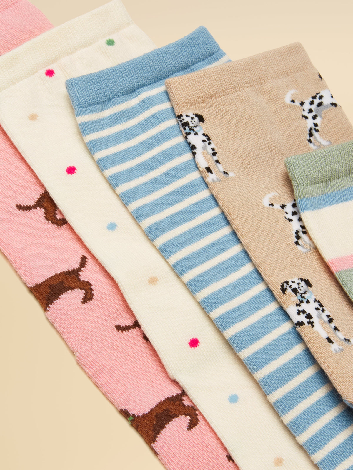 Joules Everyday 5PK - Dog