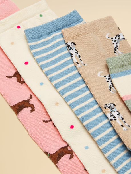 Joules Everyday 5PK - Dog