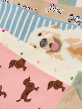 Joules Everyday 5PK - Dog