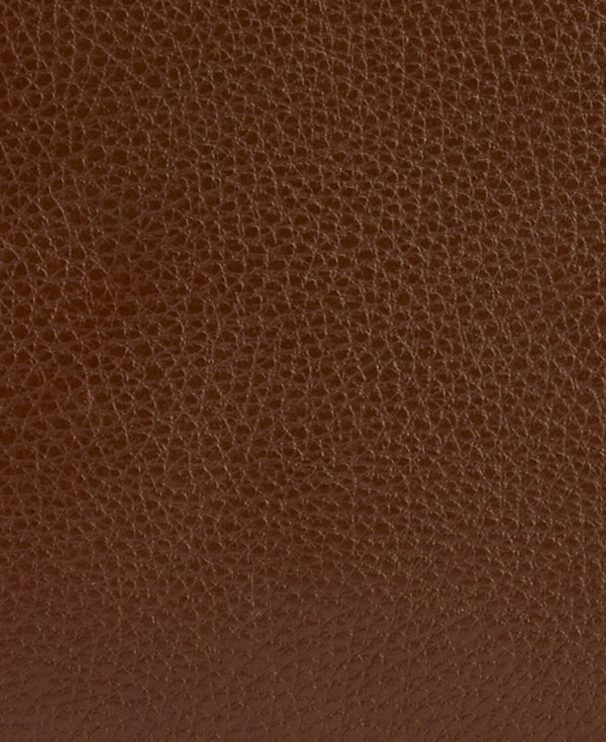 Barbour Daphne Leather Crossbody Bag - Brown