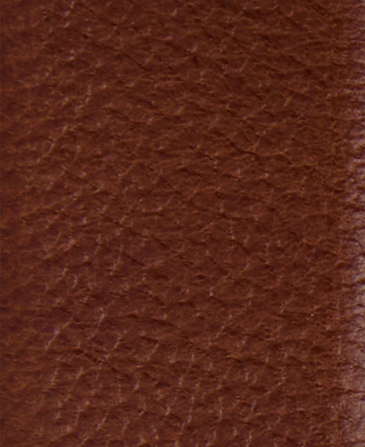 Barbour Clyde Leather Belt - Brown