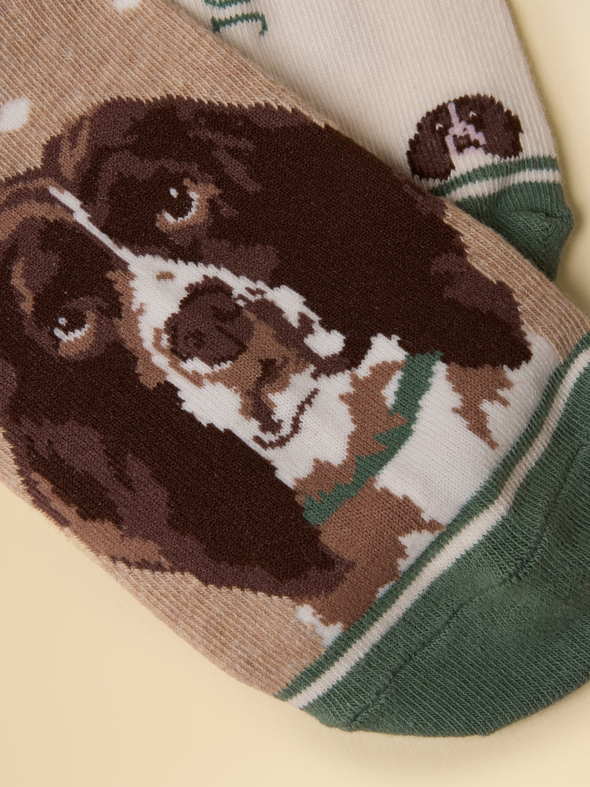 Joules Everyday - Neutral Spaniel