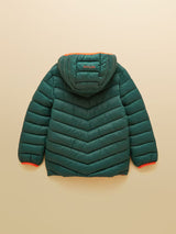 Joules Cairn - Dark Green
