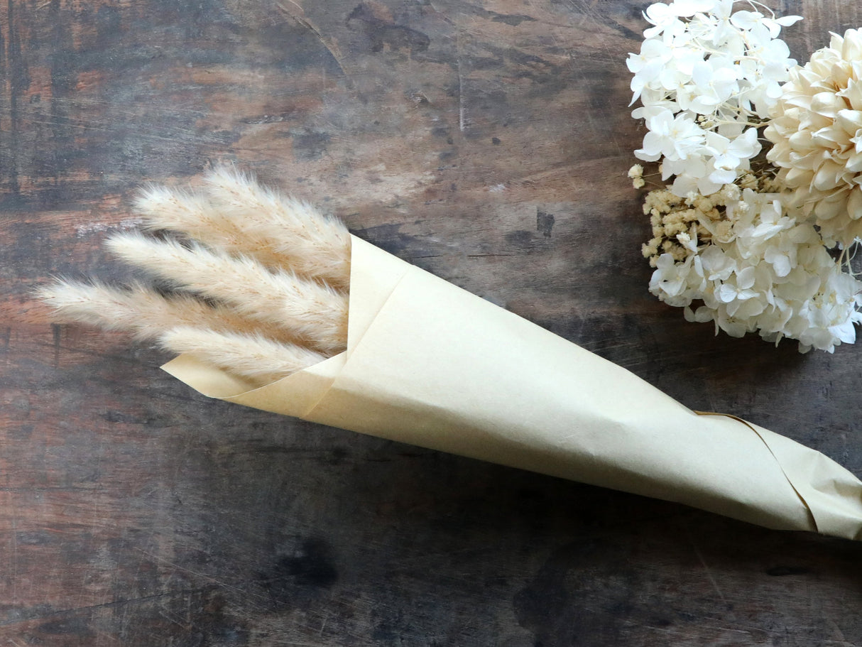 Fleur Dried Pampas Grass