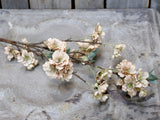 Fleur Branch with Flowers