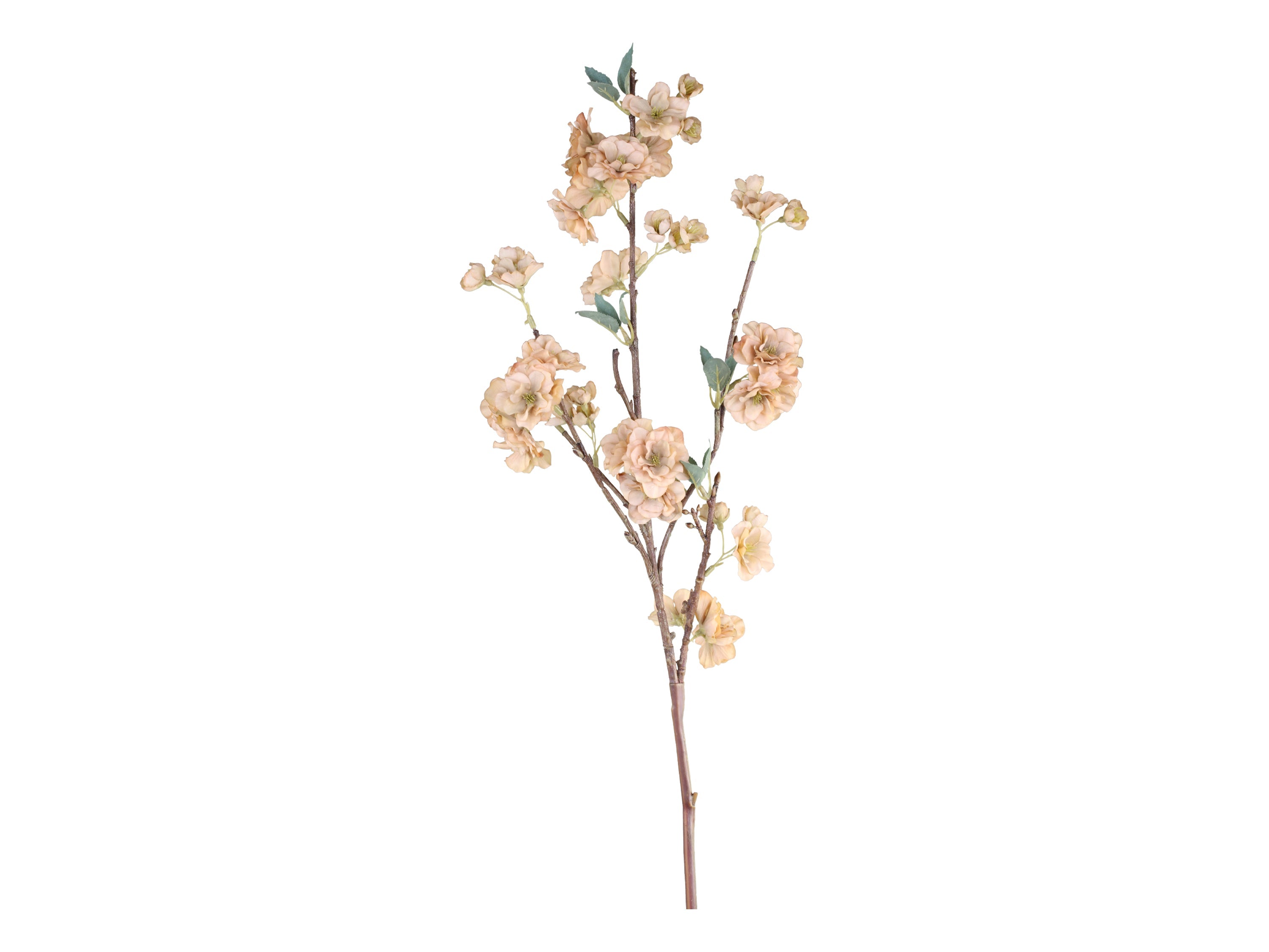 Fleur Branch with Flowers