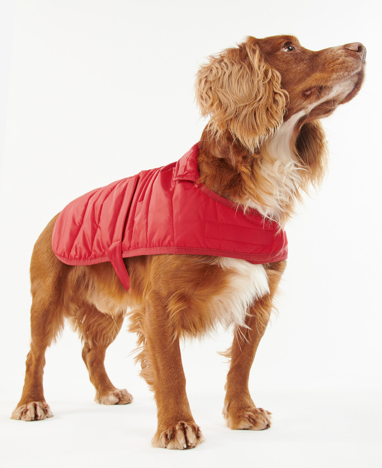 Barbour Baffle Quilt Dog Coat - Brick Red