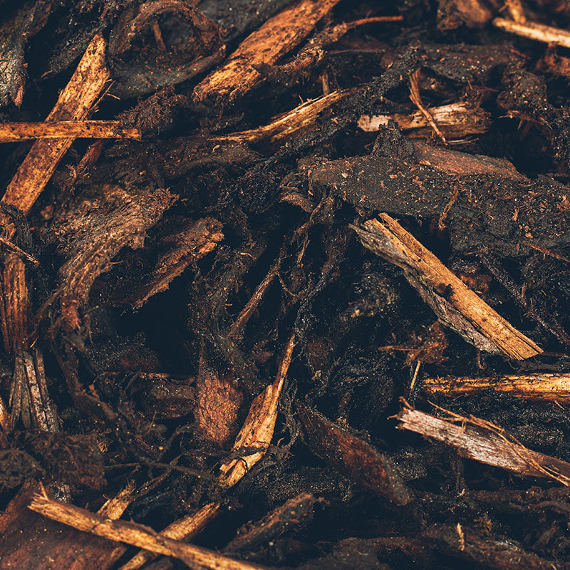 Bark Mulch